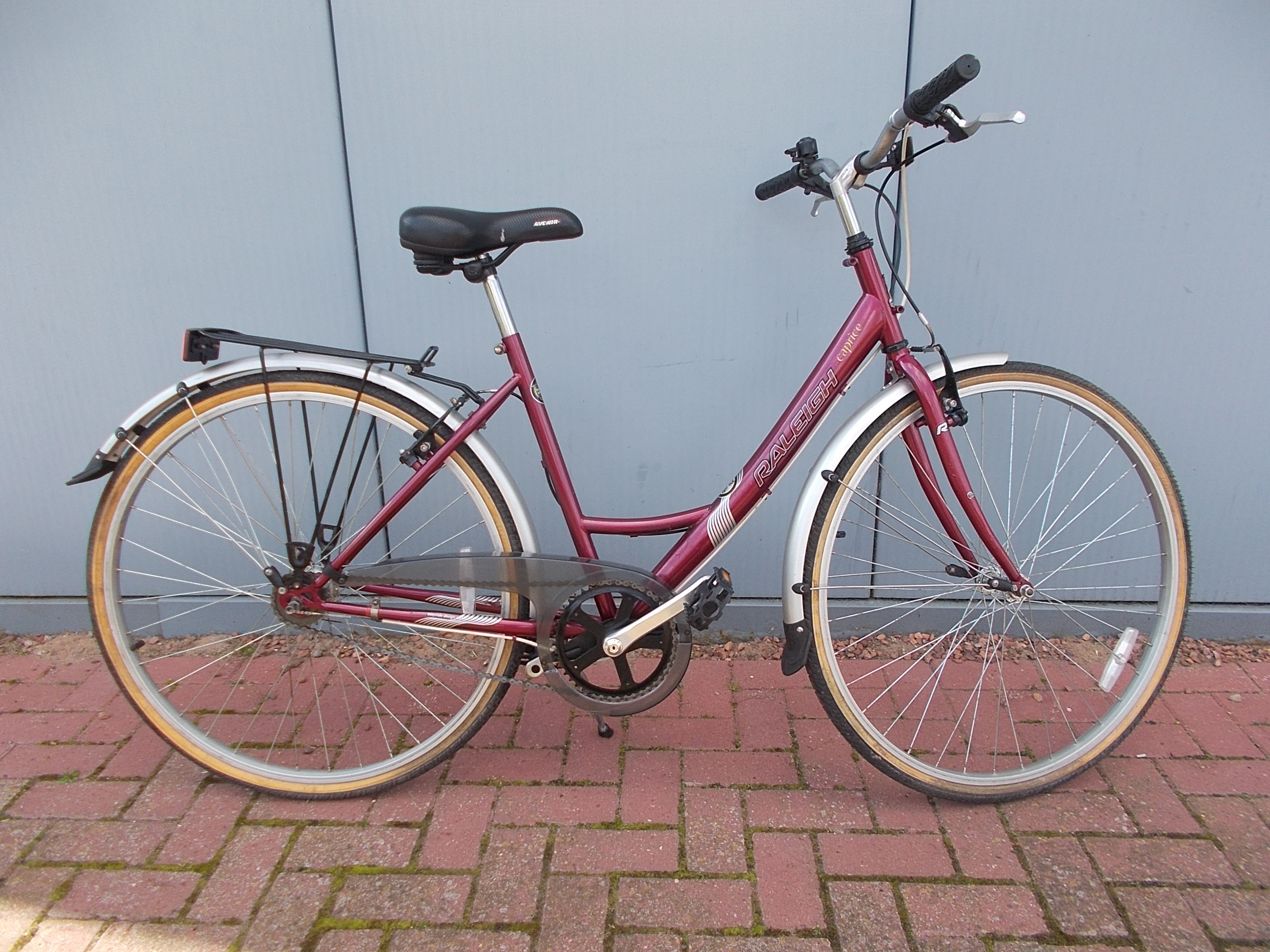 Raleigh Caprice 19.25" Bicycle